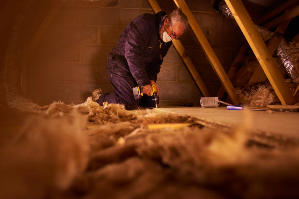 Types of Insulation We Offer in Columbia City, IN